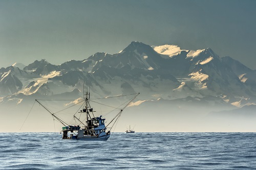 1752195226808065.jpg 1.jpg